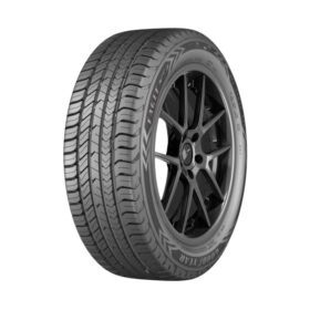 PNEU GOODYEAR 205/55 R16 EAGLE SPORT 91V