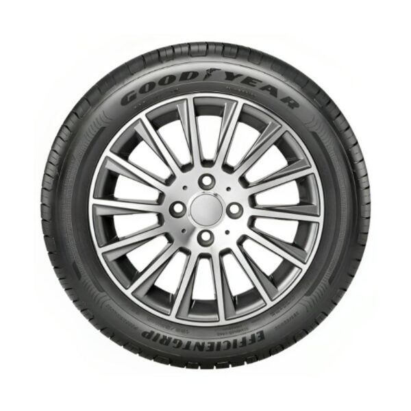 PNEU GOODYEAR EFFICIENTGRIP PERFORMANCE 91V 205/55 R16